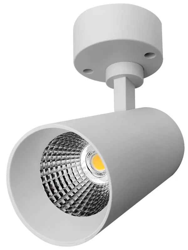 Led_Track_Light_Black_Cylindrical_Spotlight_With_Adjustable_Mounting_Warm_Light_10W/20W/30W