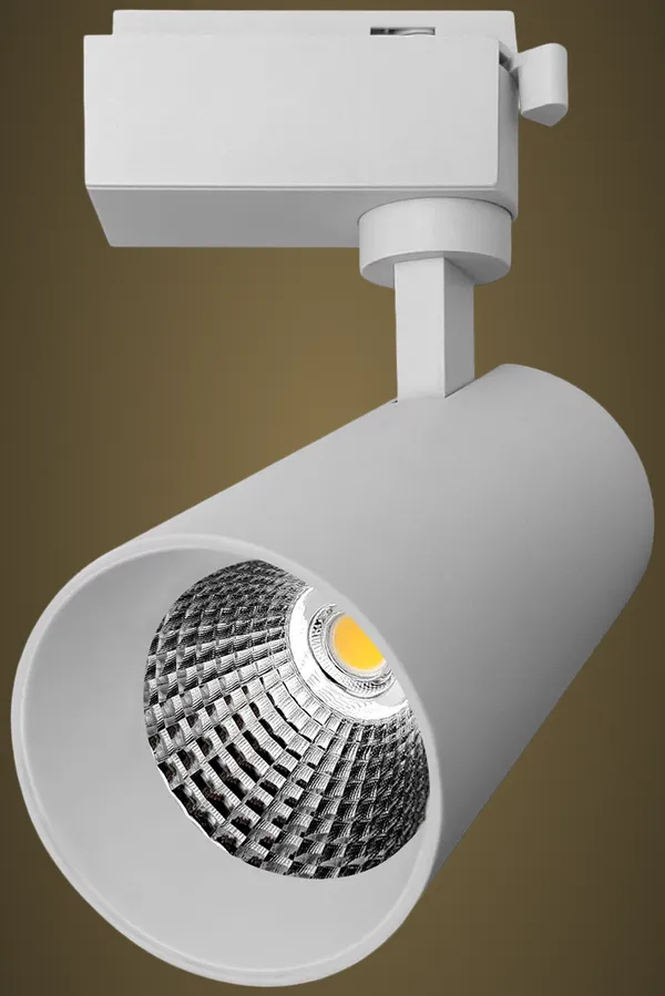 Led_Track_Light_Black_Cylindrical_Spotlight_With_Adjustable_Mounting_Warm_Light_10W/20W/30W