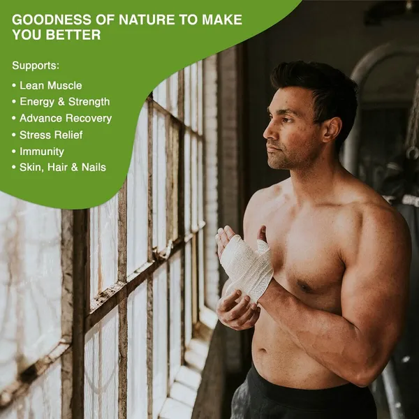 Men_Clean_Plant_Protein_With_Ayurvedic_Herbs_25_Vitamins_Minerals_Herbs