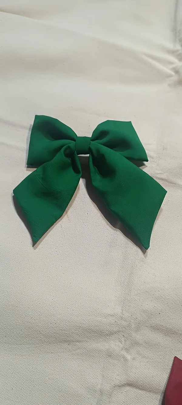 Green_Satin_Premium_And_Elegant_Hair_Bow_For_Women