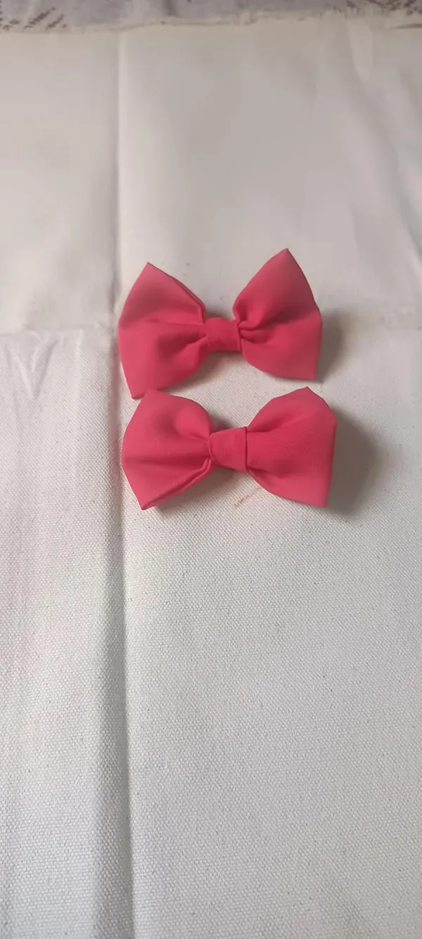 Red_Satin_Premium_And_Elegant_Hair_Bow_Clip_For_Women_(Pack_of_2)