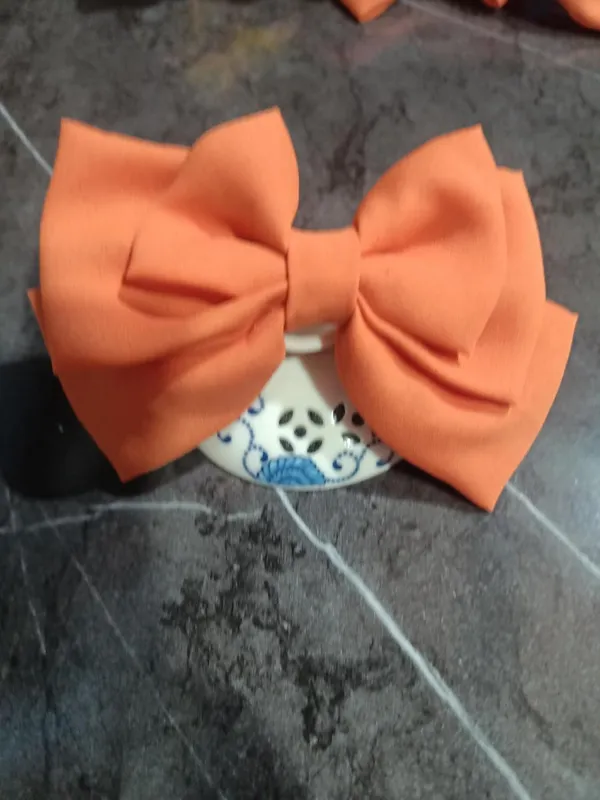 Green_Satin_Premium_And_Elegant_Hair_Bow_Clip_For_Women