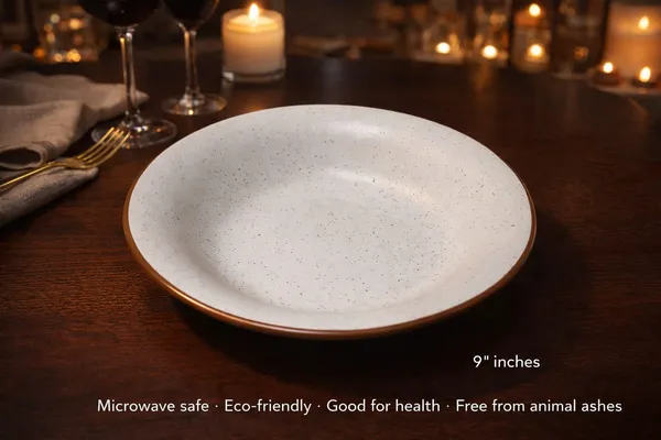 White_Premium_Ceramic_Pasta_Plate
