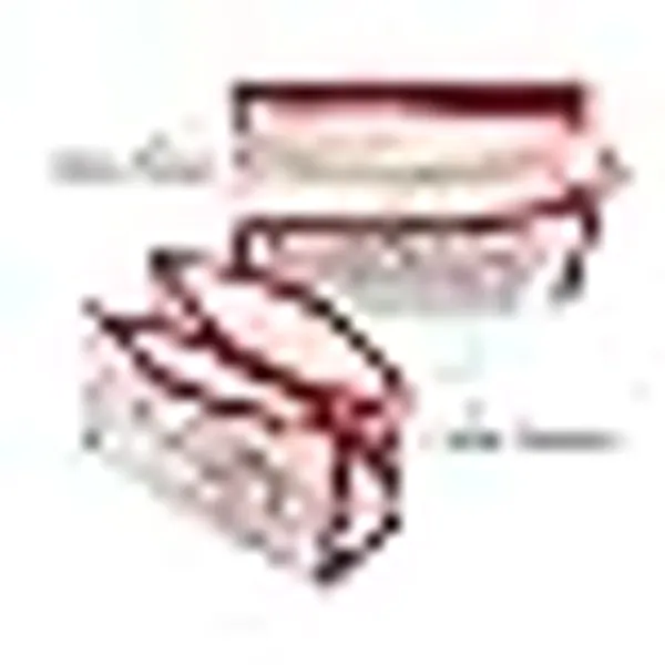 Combo_Multipurpose_Pouch/Makeup/Cosmetic/Shaving/Toiletry_|_Travel_Kit_Pouch_Bag_For_Men_And_Women_(Pack_Of_3)