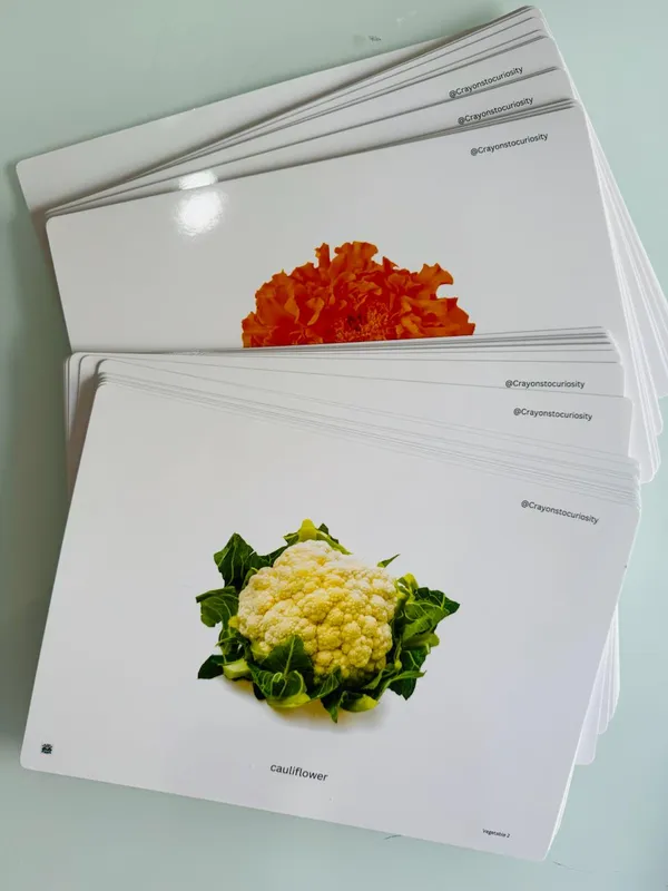 Educational_Photo_Flashcards_Set_For_Kids_Vocabulary_Learning_Cards_With_Real_Images