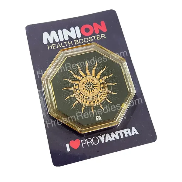 Minion_Vaastu_Kit