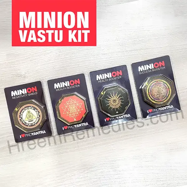 Minion_Vaastu_Kit
