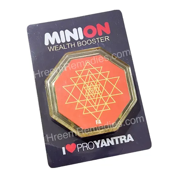 Minion_Vaastu_Kit