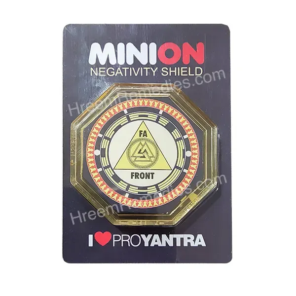 Minion_Vaastu_Kit