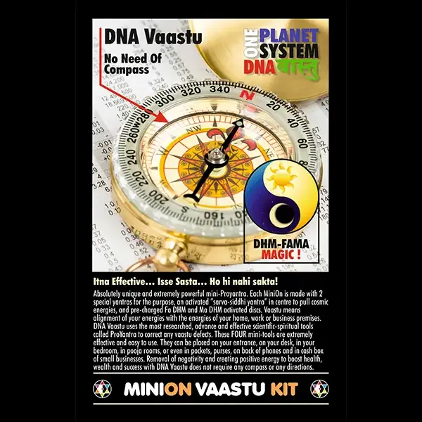 Minion_Vaastu_Kit
