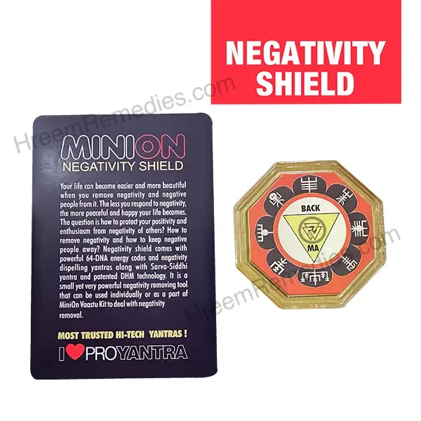 Minion_Vaastu_Kit