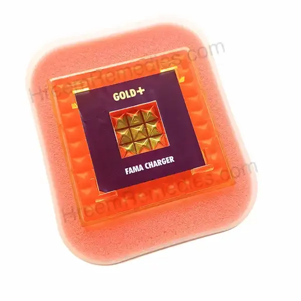 Fama_Passport_Gold_(With_Charger)