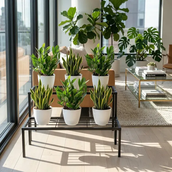 Black_Metal_Premium_Plant_Stand_For_Home_And_Living