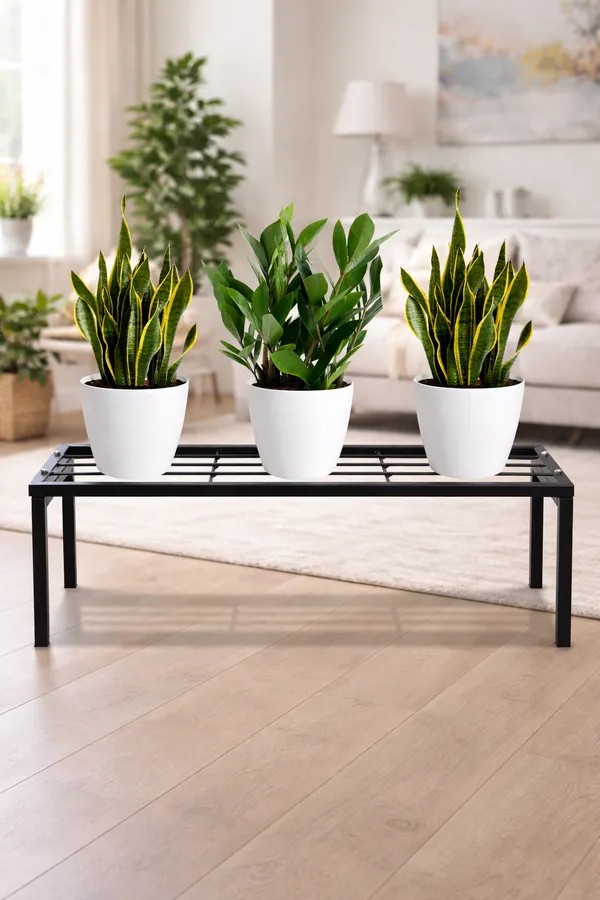 Black_Metal_Premium_Plant_Stand_For_Home_And_Living
