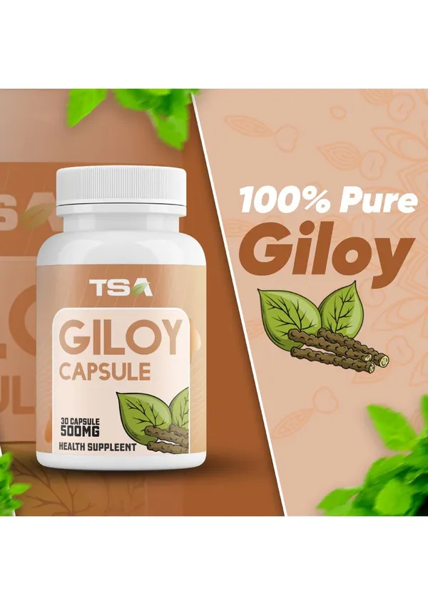 Giloy_Capsule_500Mg_-_Natural_Health_Supplement_(30_Capsules)