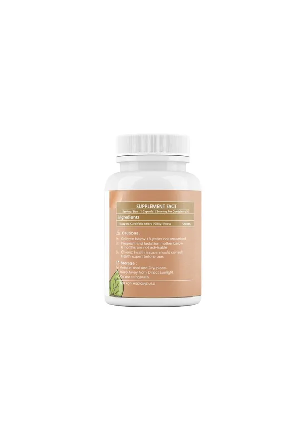 Giloy_Capsule_500Mg_-_Natural_Health_Supplement_(30_Capsules)