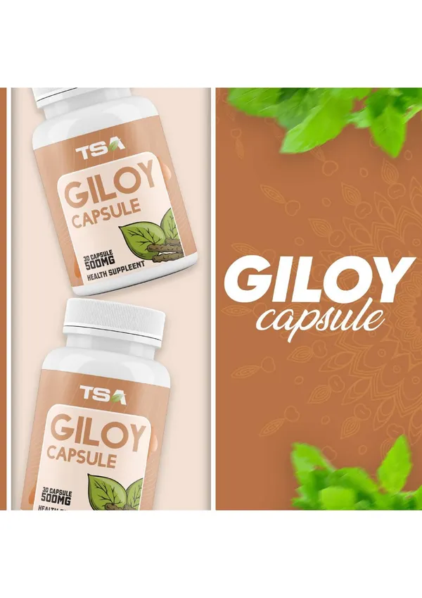 Giloy_Capsule_500Mg_-_Natural_Health_Supplement_(30_Capsules)