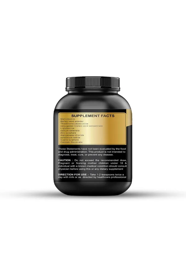 Weight_Gain_Powder_-_High_Protein_Mass_Gainer_Formula_(500Gm)