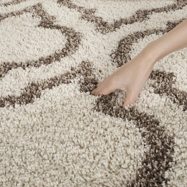 Present_Carpet_For_Room_Shaggy_Rugs_Fluffy_Carpets_Indoor_Modern_Plush_Area_Rugs_For_Living_Room_Bedroom_Kids_Room_Etc_Pattern