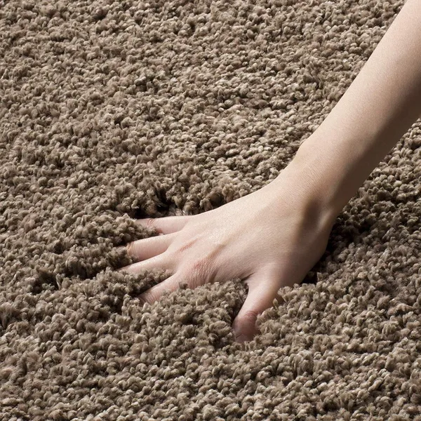 Modern_Micro_Fiber_Rug_Carpet_For_Hall_Bedroom_Kichen_Kids_Room_Baby_Room_Etc_Color_Mouse
