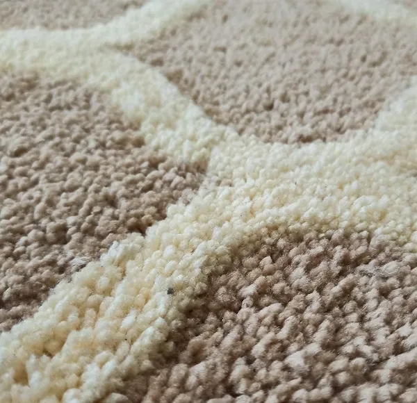 Arhamrug_3_D_Fluffy_Soft_Silky_Shaggy_Carpet_For_Hall_Room_Bedroom_Kids_Room_Guest_Room_Etc_Beige_And_Ivory