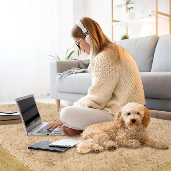 Ultraplush_3_D_Shaggy_Carpet_Use_Full_And_Non_Slip_Diverse_Patterns_Ands_To_Match_Your_Home_S_Decor_And_Comfort_Needs_Doormat_Etc_Color_Beige
