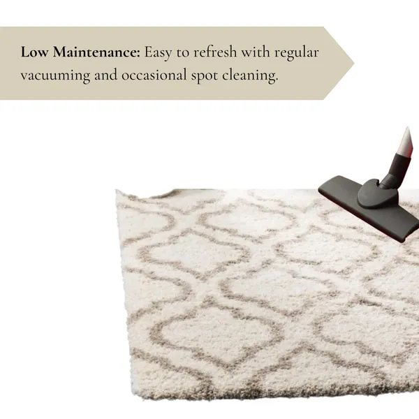Ultra_Soft_Shaggy_Carpet_For_Living_Room_Bedroom_Premium_Fluffy_Area_Rug_Ivory_Beige
