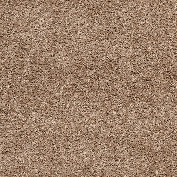 Ultra_Soft_Shaggy_Carpet_For_Living_Room_Bedroom_Premium_Fluffy_Area_Rug_Mouse
