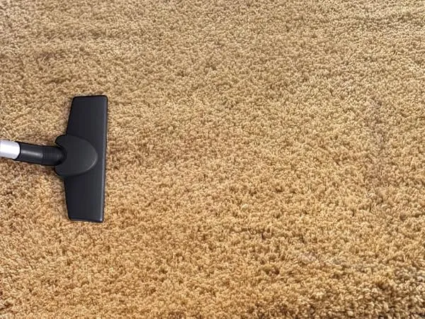 Ultra_Soft_Shaggy_Carpet_For_Living_Room_Bedroom_Premium_Fluffy_Area_Rug_Golden