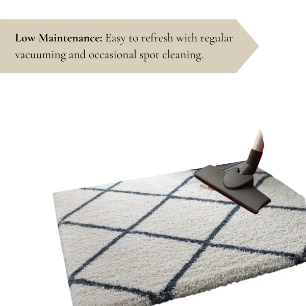 Ultra_Soft_Shaggy_Carpet_For_Living_Room_Bedroom_Premium_Fluffy_Area_Rug_Ivory_Blue_Box