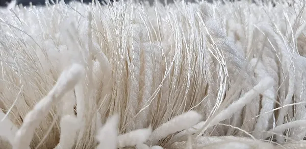 Ultra_Soft_Shaggy_Carpet_For_Living_Room_Bedroom_Premium_Fluffy_Area_Rug_Ivory