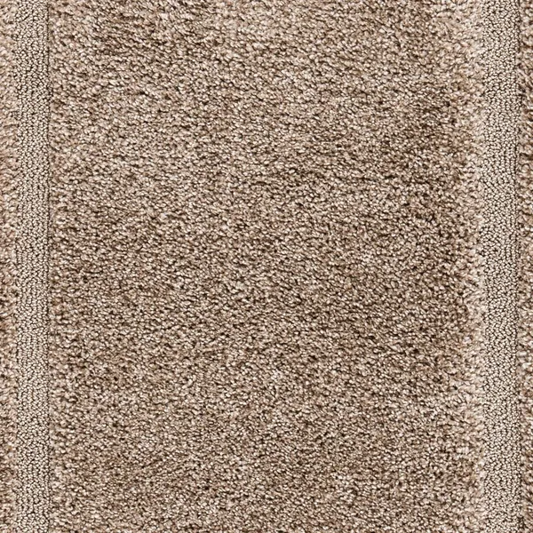Carpet_For_Hallway_Kitchen_And_Modern_Interiors_Cozy_Shag_Runner_For_Living_Room_Entryway_Office_Decor_Mouse_Rect