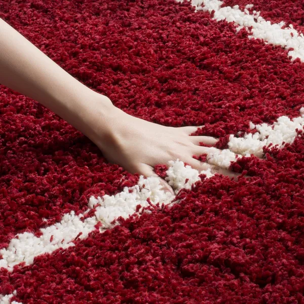Carpet_For_Hallway_Kitchen_And_Modern_Interiors_Cozy_Shag_Runner_For_Living_Room_Entryway_Office_Decor_Red