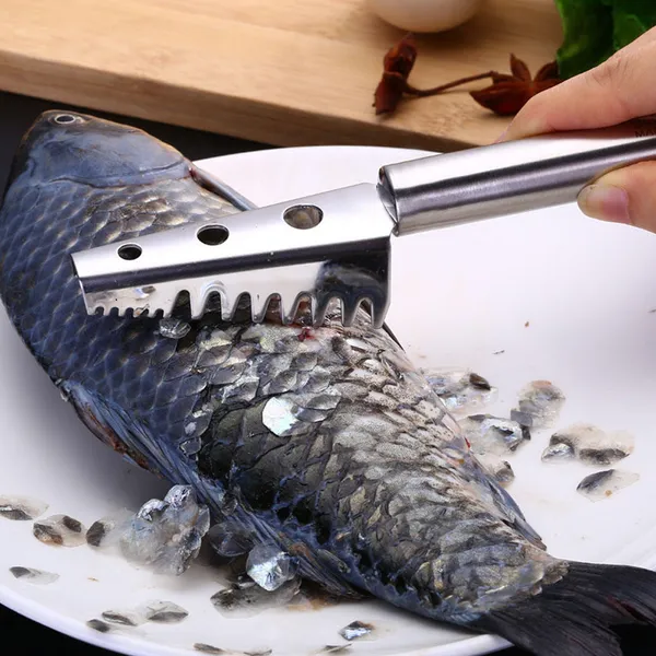 Fish_Scale_Scraper