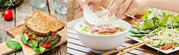 4_Layer_Sprout_Maker_(500Ml)