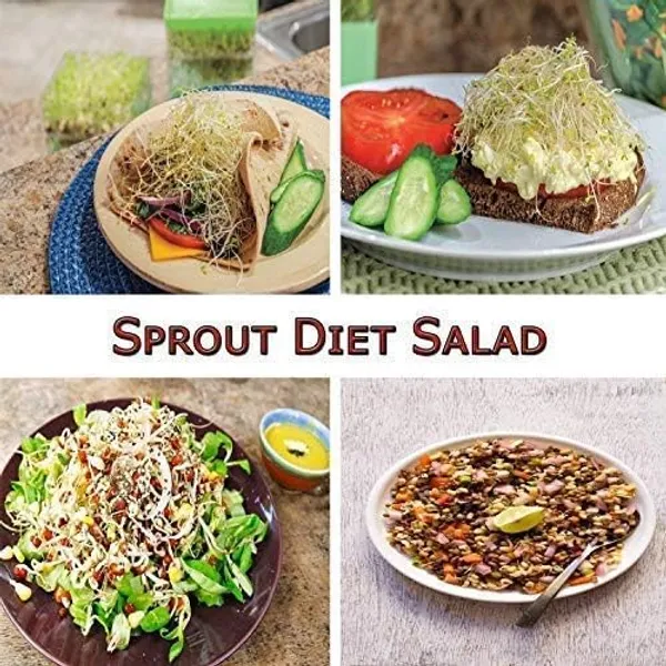 4_Layer_Sprout_Maker_(500Ml)