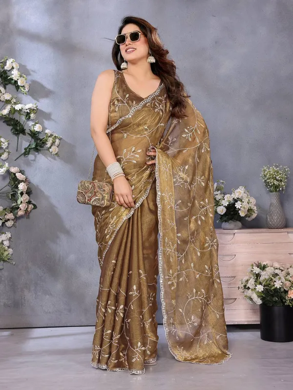 Golden_Beige_Embroidered_Net_Saree_With_Sequin_Border_And_Embellished_Blouse
