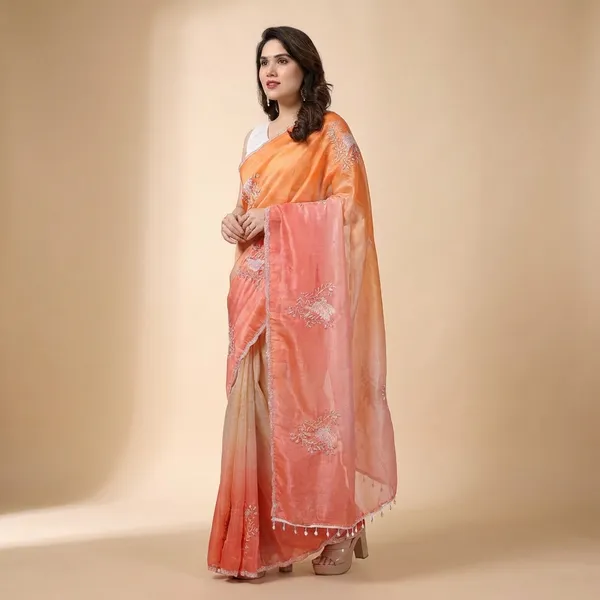 Elegant_Ombre_Saree_With_Embroidered_Details_And_Tassel_Border
