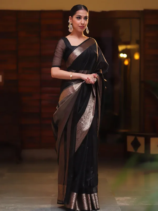 Black_Kanjivaram_Organza_Saree_with_Woven_Zari_Border_|_Elegant_Party_Wear_Saree