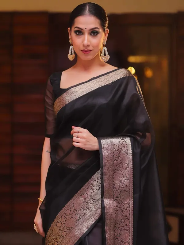 Black_Organza_Zari_Border_Saree_For_Women