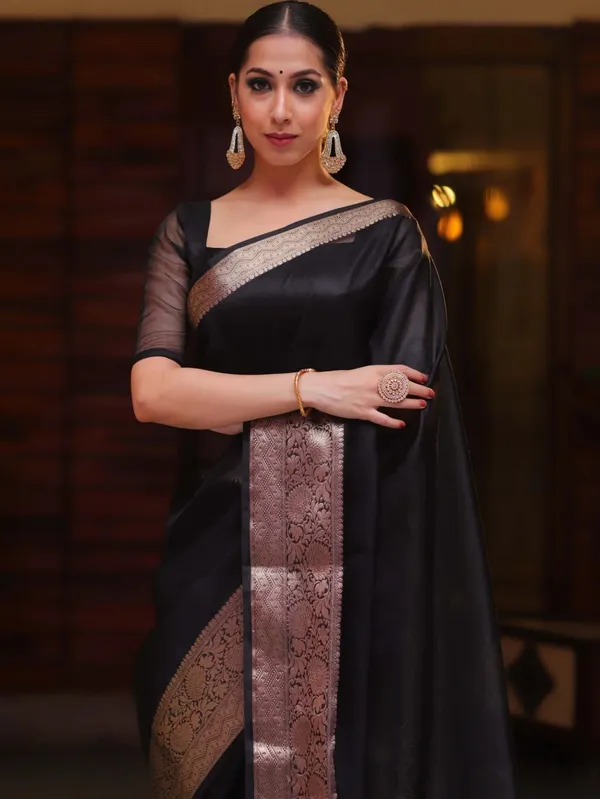 Black_Organza_Zari_Border_Saree_For_Women
