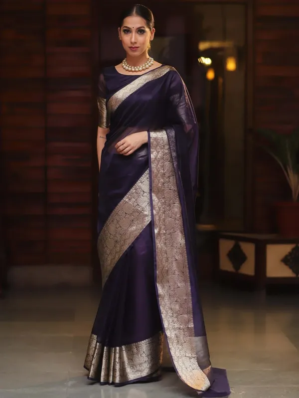 Blue_Organza_Kanjivaram_Zari_Border_Saree_For_Women