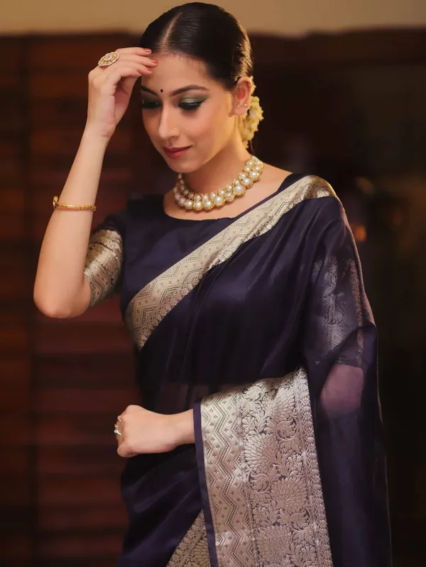 Blue_Organza_Kanjivaram_Zari_Border_Saree_For_Women