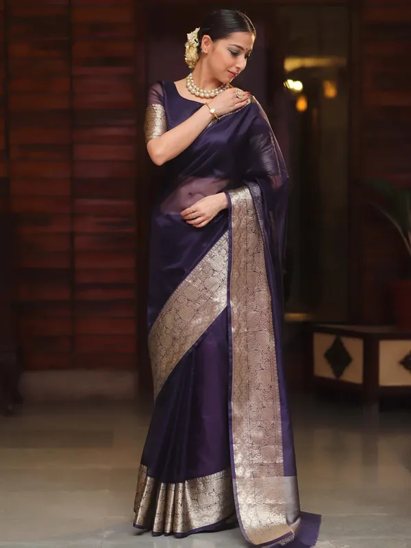 Blue_Kanjivaram_Organza_Saree_with_Rich_Woven_Zari_Border_|_Festive_&_Wedding_Wear