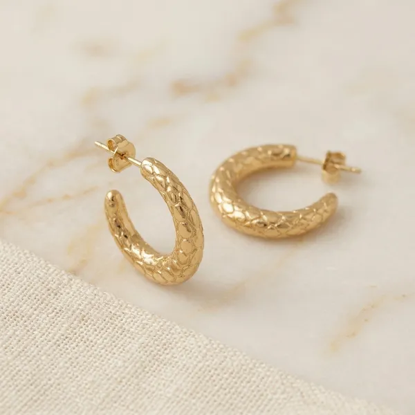 Gold_Textured_Hoop_Earrings_With_Anti_Tarnish_Finish_Honeycomb_Pattern_Stud_Hoops