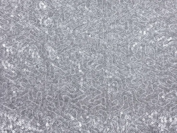 Silver_Sequins_Embroidery_Work_Net_Fabric_(Price_Per_Meter)