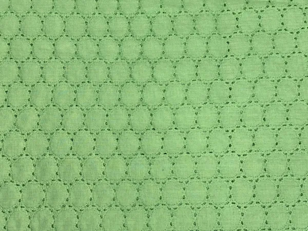 Pista_Green_Embroidered_Hakoba_Cotton_Fabric_(Price_Per_Meter)