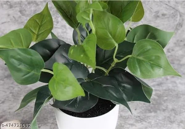 Natural_Artificial_Philodendron_Plant_For_Home_Decor_Heigh_1_Foot