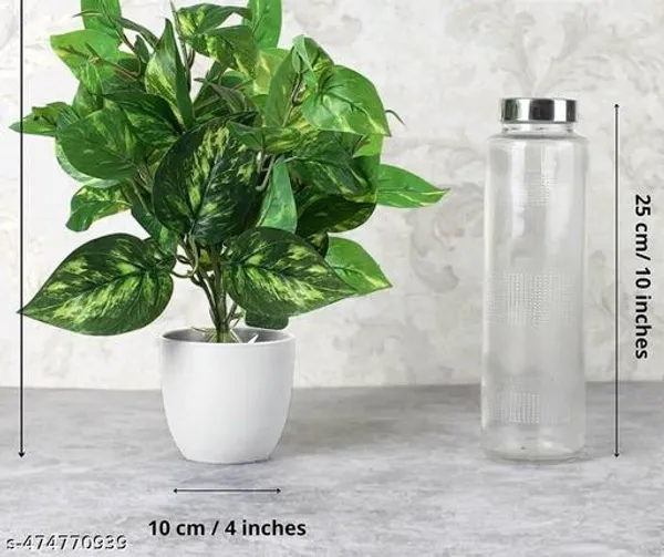 Green_Artificial_Money_Plant_With_Pot_For_Home_Decor
