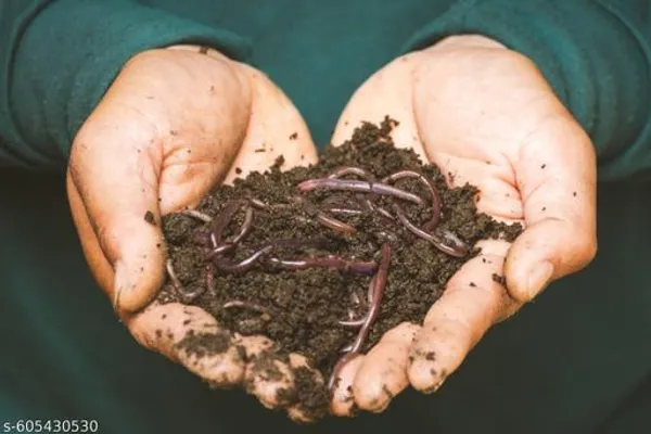 Natural_Pure_Organic_Vermi_Compost_3_Kg_Net